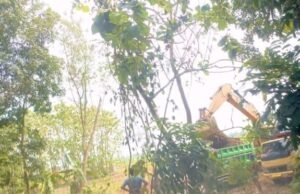 Tanah Sawah Dijual Per Rit, Galian C Tanpa Izin Merajalela di Sumberrejo Bojonegoro 36824108 251b 4209 908c e37b6e3783e0