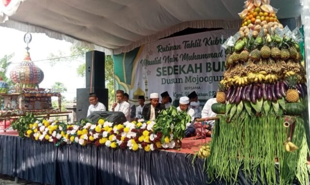 39d549c9 184b 40dd ab95 15768ef11b94