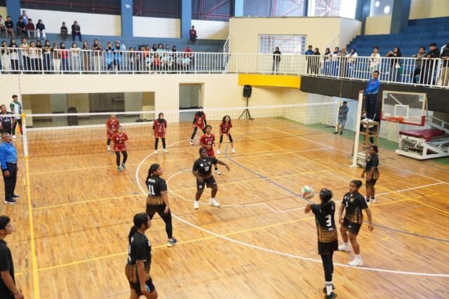 3f038585 8184 48d7 bc3d bb97888d73dc