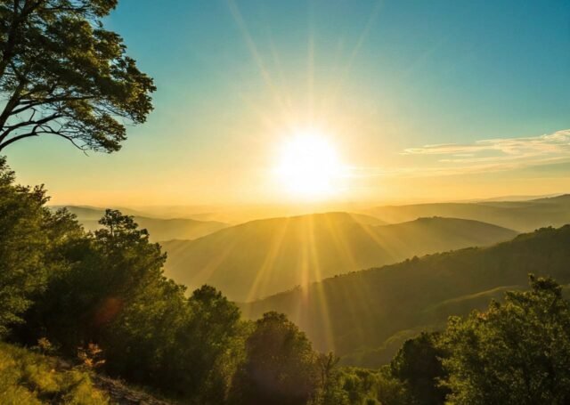 A714c12a d1fb 459e b605 a5c22d9ad7fd