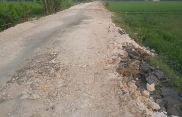 A9c021b5 6ca8 454b 943b cb00f7afd6ae