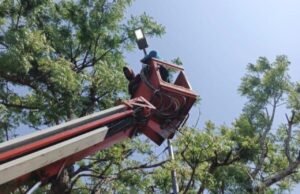 Tak Perlu Khawatir Gelap, Pemkab Bojonegoro Pasang Ribuan Lampu LED di Jalan Raya Af17c9da 0ca1 48ea 9c47 ec5ae690c05a