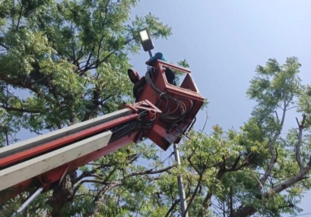 Af17c9da 0ca1 48ea 9c47 ec5ae690c05a