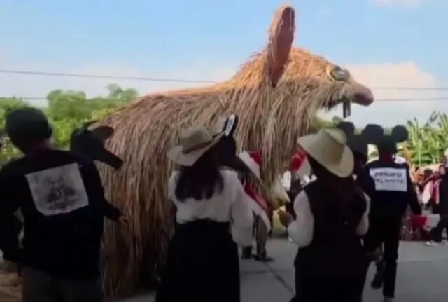 D453d65c 02ef 417b b89f e675f12f4ed5