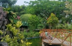 Inilah Daya Tarik Taman Gajah Bolong di Baureno Bojonegoro Fa145dcc 9613 43b8 96b6 a7fd0d9da9f1