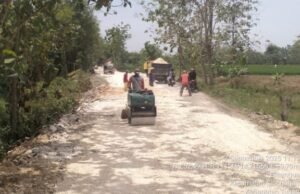 Rigid Beton dan Kios Baru, Desa Sidodadi Melesat Jadi Desa Mandiri Ekonomi di Bojonegoro Fbdbd6b7 c92d 4eee b625 ca590a582f47