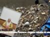DLH Jatim Gencarkan Aksi Cinta Sungai: Gubernur dan TNI AL Turun Langsung Susuri Kali Surabaya