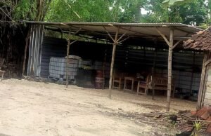 Mafia Solar Kuasai Bojonegoro, Oknum SPBU dan APH Diduga Terlibat