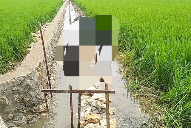 1762781777112_copy_1280x860