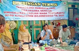 UGM Gandeng Pemkab Bojonegoro Kenalkan Teknologi Padi Amfibi Giamagora 7 ke Petani Bayemgede