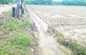 Drainase U-Ditch di Tulungrejo Bojonegoro Dianggap Asal Jadi, Lantai Kerja Hilang
