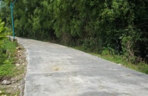 Akses Mulai Dibuka, Jalan Desa Prangi Padangan Bojonegoro Dibangun 400 Meter