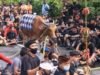 Rahasia Sapi Suci Klungkung Bali yang Diarak Setahun Sekali