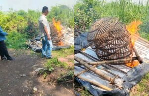 Polisi Gerebek dan Bakar Arena Sabung Ayam di Sidoarjo, Begini Kronologinya