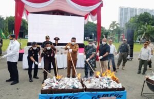 Gresik Perang Total, Rokok Ilegal Diburu, Ribuan Batang Dimusnahkan