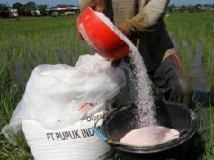 Hampir 100 Persen Tersalur, Ini Rincian Pupuk Bersubsidi Bojonegoro