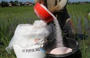 Hampir 100 Persen Tersalur, Ini Rincian Pupuk Bersubsidi Bojonegoro