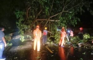 Angin Kencang Terjang Bojonegoro, 42 Rumah Rusak