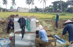 11 Ribu Petani Sudah Terdaftar, AUTP Bojonegoro Jadi Tameng dari Gagal Panen