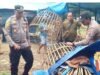 Polisi Gerebek Arena Judi di Tengah Sawah Banyuwangi, Pelaku Keburu Kabur Duluan