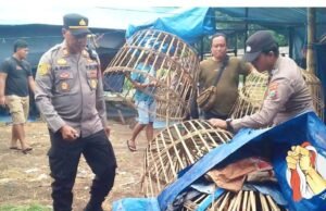 Polisi Gerebek Arena Judi di Tengah Sawah Banyuwangi, Pelaku Keburu Kabur Duluan
