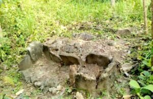 Misteri Wong Kalang di Bojonegoro: Jejak Megalitik yang Tersembunyi di Balik Sumur Minyak Kedewan