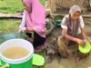 Terpaksa Pakai Air Banjir, Warga Aceh Tamiang Keluhkan Penyakit Kulit