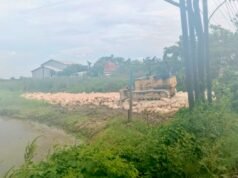 Pengurukan Pabrik Kayu Picu Amarah Warga Waruwetan Lamongan, Sawah Petani Terancam