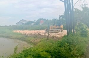 Pengurukan Pabrik Kayu Picu Amarah Warga Waruwetan Lamongan, Sawah Petani Terancam