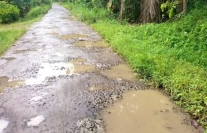 Jalan Poros Karanganyar Wonosobo Hancur, Warga Tanggamus Geram