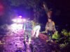 Satu Malam Dua Kejadian Pohon Tumbang, Polsek Karanggeneng Lamongan Tunjukkan Kesiapsiagaan