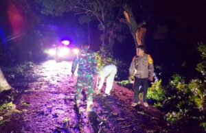 Satu Malam Dua Kejadian Pohon Tumbang, Polsek Karanggeneng Lamongan Tunjukkan Kesiapsiagaan