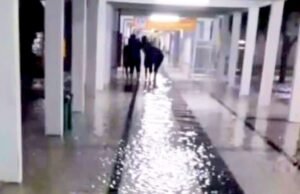 Hujan Dua Jam, Jalan Kota Lamongan Terendam Setinggi Trotoar