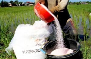 Jatah Pupuk Subsidi Bojonegoro 2026 Resmi Bertambah