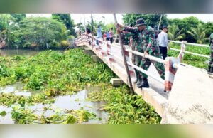 Enceng Gondok Menumpuk, Aparat dan Warga Lamongan Bersihkan ke Sungai