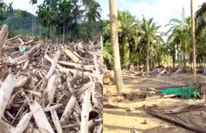 Video Anak-Anak Desa Pengidam Aceh Tamiang Viral, Kayu Banjir Belum Dibersihkan