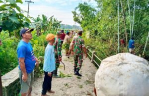 Akses Warga Terputus Akibat Banjir, Koramil Sukorame Lamongan Turun Tangan Bangun Jembatan Darurat