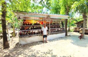 Program GAYATRI Bojonegoro Panen Hasil, Ribuan KPM Raup Manfaat