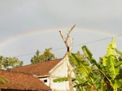 Pelangi Hiasi Langit Bojonegoro Timur, Warga Berhamburan Keluar Rumah