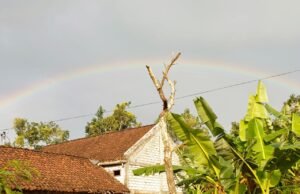 Pelangi Hiasi Langit Bojonegoro Timur, Warga Berhamburan Keluar Rumah