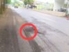 Jalan Nasional Bojonegoro Babat Rusak Parah, Sudah Makan Korban Jiwa