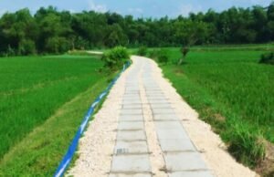 Petani Bojonegoro Tersenyum, 163 Jalan Usaha Tani Dibangun Tahun 2026