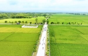 Dari Jalan Becek Jadi Mulus, Desa Mulyoagung Bojonegoro Punya Poros Ekonomi Baru