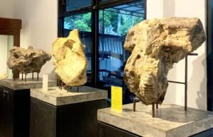 Museum Rajekwesi Bojonegoro, Wisata Sejarah Gratis di Jantung Kota