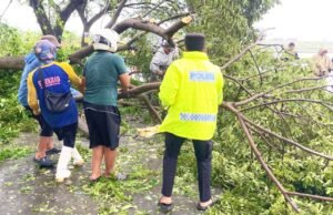 Angin Puting Beliung Terjang Lamongan, Polisi Bergerak Cepat Evakuasi Pohon Tumbang