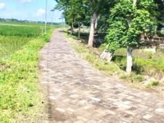 Paving Block Kusam dan TPT Sebelah, Proyek Jalan Makam Desa Mori Bojonegoro Jadi Sorotan