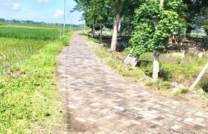 Paving Block Kusam dan TPT Sebelah, Proyek Jalan Makam Desa Mori Bojonegoro Jadi Sorotan