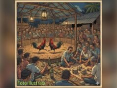 Praktik Sabung Ayam di Malang Disorot, Aparat Diminta Bertindak Tegas