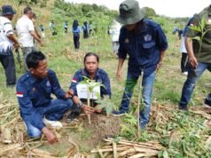 HPN 2026 Jadi Aksi Nyata, PJI Bojonegoro Tanam 600 Bibit Pohon Untuk Masa Depan