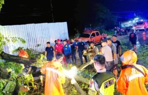 Mobil Tertimpa Pohon di Jalur Lamongan–Surabaya, Polres Bergerak Cepat